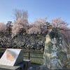 【 2022 春・徳島中央公園の桜 】 気になったので見に行った（人生は感動）