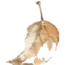 二番煎じ…落ち葉と影