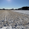 皆さん、雪、大丈夫でしたか？