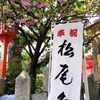 松尾大社の春を彩る祭：神幸祭と還幸祭