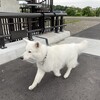 今日は寒いよ