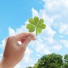 ２０２０年４月の不労所得は４，６００円でした(*´▽｀*)