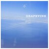 GRAPEVINE「風の歌」を聴く