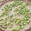 梅仕事