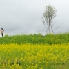 ぼっちの花追い旅（13）：広島県世羅町にある「花の駅せら」 ⑥