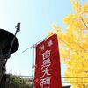 秋、弘法市を歩く
