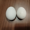 安かろう悪かろう