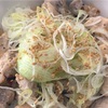 吉野家の「ねぎ塩鶏丼」を食べました