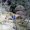 成田山　明王院　神護新勝寺　