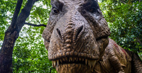 公園に潜む恐竜たちに大接近⁉新恐竜も登場して大人気の『ディノアドベンチャー名古屋』