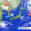 11/25 金曜日　雨上がる朝　オオタカ？