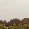 今朝の景色