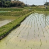 近場の遠出