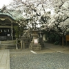 猿江神社の桜