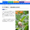 梅雨入り