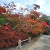 【京都】亀岡、『鍬山神社』に行ってきました。 京都紅葉 女子旅