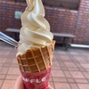 【小江戸川越】子連れでの食べ歩き散歩