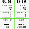 ガーミンをアップデートしたら設定がリセットされてしまって腹が立つ！ また起きるかもしれないからトレーニングページをアップする。