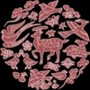 Instagram初めました