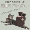 お姉さんから貰ったプレゼント
