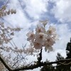 曇り時々晴れところにより小雨 篠山起点で丹波を周回