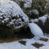 二年ぶりの雪景色