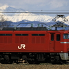ヘッドマークを装着したEF81-134