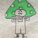 苔きのこ日誌