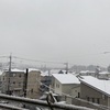 1月6日木曜日　雪の前に朝ジョグ。