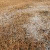 鳥海山ー紅葉と冠雪の季節ー