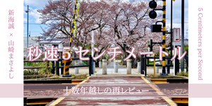 初恋の思い出と向き合う『秒速5センチメートル』の魅力をレビュー