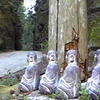 三重県松阪市飯高町太良木周辺