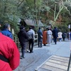 多度大社初詣 巨大熊手