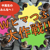 【『GWヒマつぶし大作戦』緊急開催】退屈している中高生に・2020年4月27日（月）オンライン開催　私も参加します