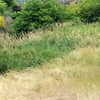 エアコンのおかげで何とか生きている話