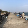 碧南海釣り広場 釣果