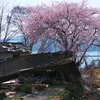サクラが咲くころ、
