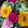 お花が届きました