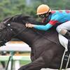 【セレクト速報】北島三郎さん ローブティサージュの近親を４４００万円で落札 