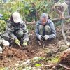 サハリン・千島列島　第二次大戦で戦死した兵士の遺骨収集　これまでに154人発見、12人の身元判明