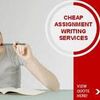 professional essay Writing