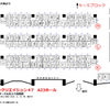  サンシャインクリエイション４７の配置図