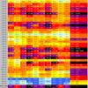 2018夏 記録的高温