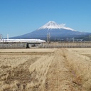 tumiki くんの独り言