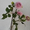 季節の花を飾る