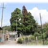 『白髭神社』豊田市大畑町寺ケ洞