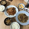 今日の晩御飯　きんぴられんこん【納豆27日目】