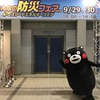 くまモン　新潟に出没