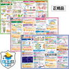 暗記科目の「ながら学習」