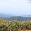 岡山県立森林公園